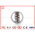 High Speed Hybrid /Self Aligning Ball Bearing (1300)